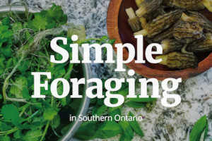 Simple Foraging guide cover image showing an example of substantive and copy editing services for Laura Shaw's portfolio.